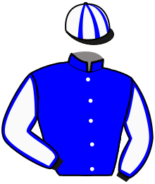 Mlle D. Aramini