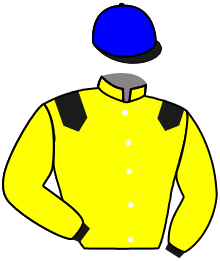 Sheikh Ahmed Al Maktoum