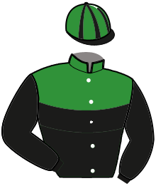 Stal Foetsiepoen