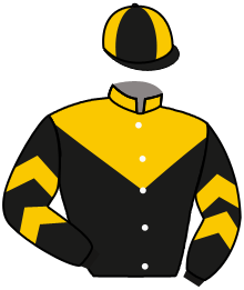 Goldfarb, Sanford J. , Kantarmaci