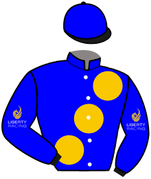 Liberty Racing 2024 Gold