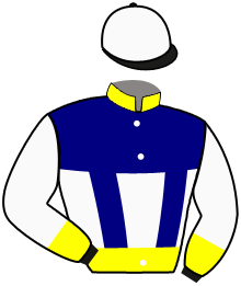 Bernard Verlaine