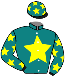 Shining Stables Llc (Morgan Jose