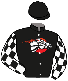 Dare To Dream Stable, Llc (Micha