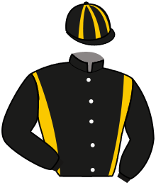 Stal Hollandia