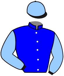 Blue Bird Stables