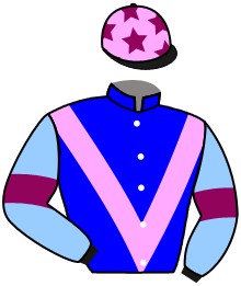 Surplus Horse Racing Syndicate
