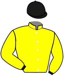 R.j.p. Goudsblom