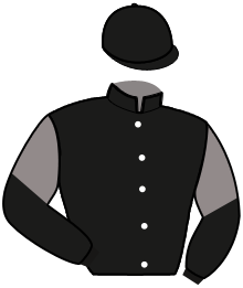 Kb Capulus Horses