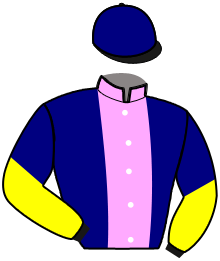 Mlle F. Moulin