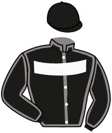 Get a Wish Stable (Nor)