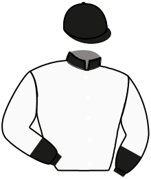 Ecurie Sant-Mixo