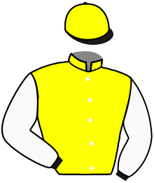 Guy Pariente Holding