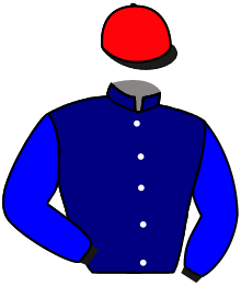 Annus Mirabilis/S O'driscoll/Mid