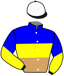Joeri Van de Walle