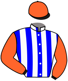 West Paces Racing Llc, Rainbow's