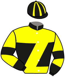 Stall Jumper