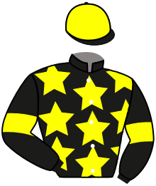 Red Diamond Stable Llc (Dana Rei