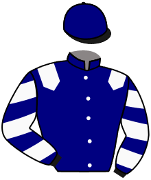 Amerman Racing, Llc
