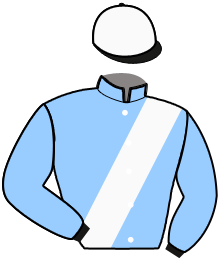 Ecurie Kingdom Horse