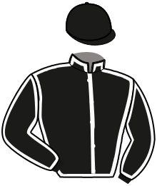 Jpb Horses