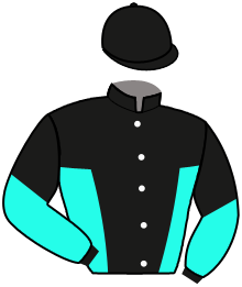 Stall Yiva