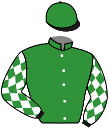 Dream Big Racing, Llc