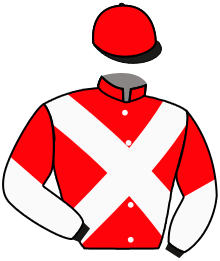 N Pickett & Partners