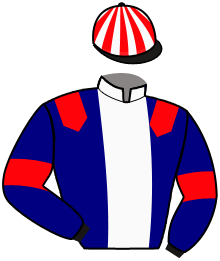 Ecurie Stal Evening Elem